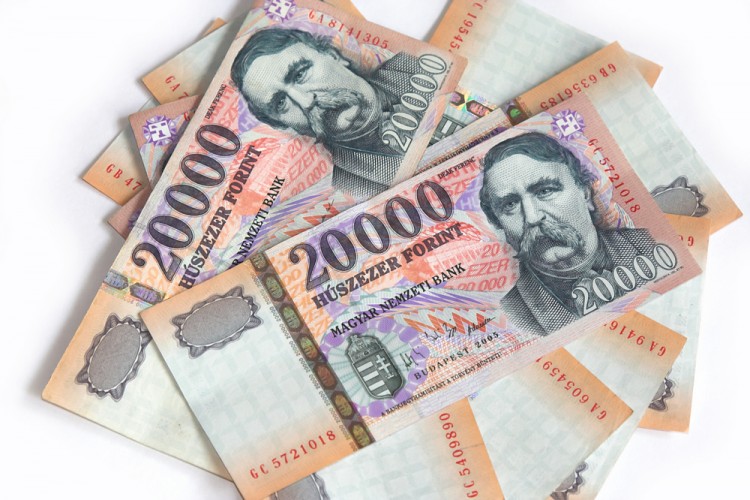 The forint is here to stay...