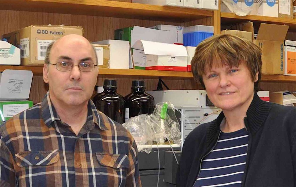 Katalin Karikó and Drew Weissman.  A shared Nobel-prize for mRNA?