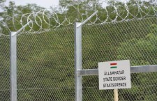Fence along the border between Hungary and Serbia. Photo: MTI.