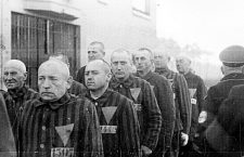 Jehovah’s witnesses in German concentration camp during WWII.