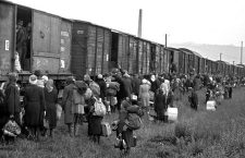 Cattle car used for transporting Hungarian Jews.